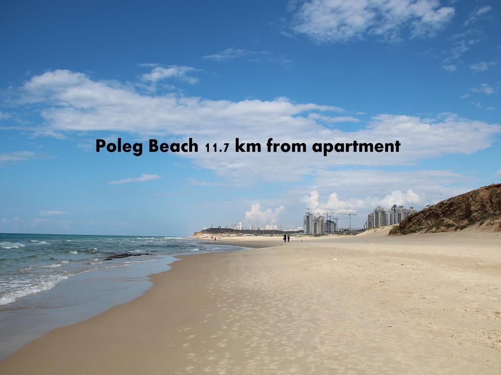 Kfar Saba View Apartment Phòng bức ảnh